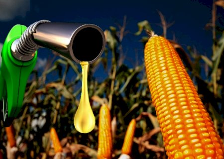 Destaque na produção de grãos, MS terá primeira indústria de etanol de milho