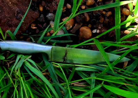 Acusado de matar Larissa a facadas é transferido à PED