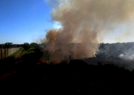 Incêndio atinge área de vegetação em Dourados