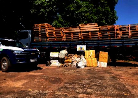 Caminh&atilde;o furtado &eacute; apreendido com mais de 600 kg de maconha e condutor preso