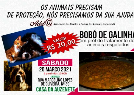 Em prol de ajudar, Associação dos Direitos e Defesa dos Animais de Itaporã realiza venda de Bobó de Galinha