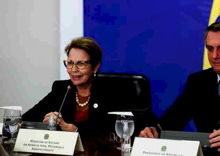 Com respaldo do agro e de Paulo Guedes, Tereza Cristina ganha força para ser vice de Bolsonaro em 2022, diz site