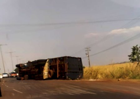 Urgente: Caminhão carregado de bois tomba na rotatória da Guacira em Itaporã