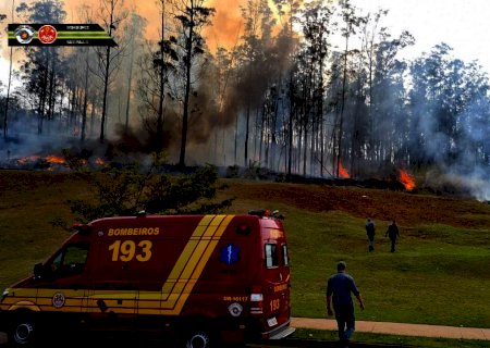 Aeronave cai no interior de São Paulo e faz vítimas; bombeiros combatem incêndio (Vídeo)