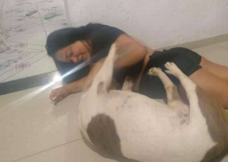 Homem mata cachorro com 21 facadas