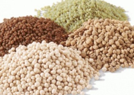 Crise dos insumos agrícolas já afeta safra 2022/23