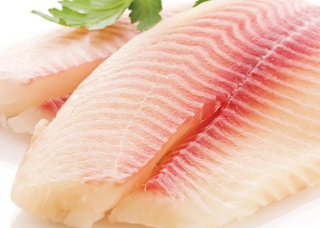 Curso do Senar/MS ensina como tirar espinha do peixe e preparar um ‘Fishburger’