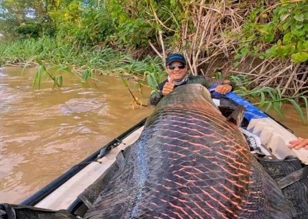 Pirarucu com mais de dois metros é capturado no Brasil; confira imagens