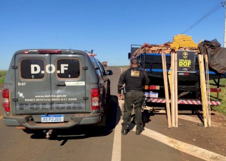 DOF apreende quase três toneladas de droga em meio a carga de madeira
