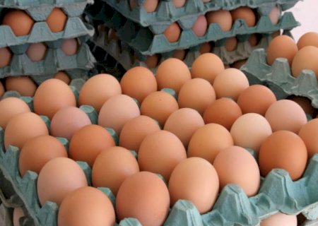 Com baixa procura, preços dos ovos recuam