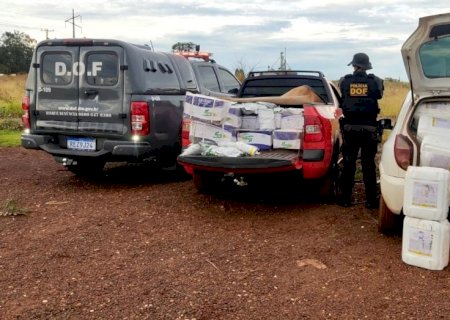 DOF apreende mais de um milhão de reais em defensivos agrícolas contrabandeados