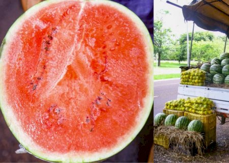 A melancia 'do caminhão' é realmente mais gostosa que a vendida nos supermercados?