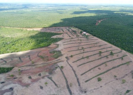 Autuações por crimes ambientais caem 44% em MS, mas multas chegam a R$ 8 milhões