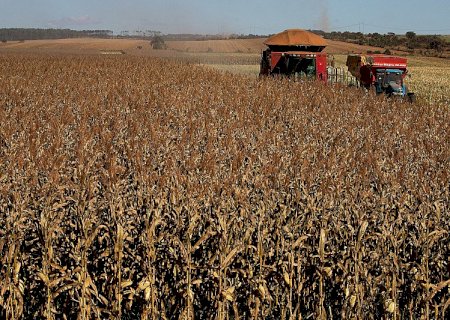 Fertilizantes tem redução de 25% no preço médio em MS
