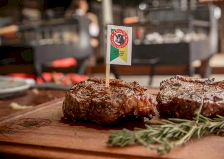 Angus: o sucesso brasileiro que conquistou a China em 2022