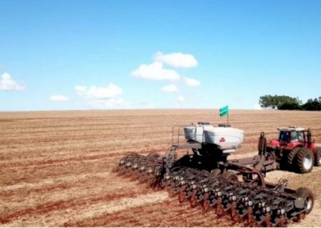 Soja e celulose se destacam como os principais produtos exportados pelo Mato Grosso do Sul