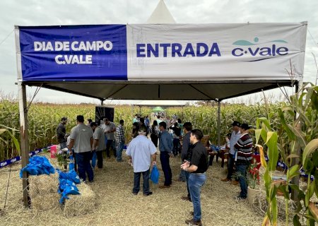 Itaporã realiza dia de campo de milho (Veja fotos)