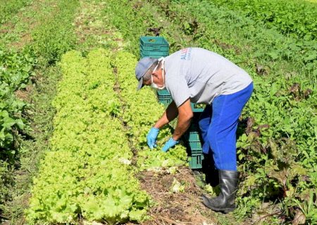 Nova política industrial prevê R$ 20 bi para mecanização da agricultura familiar