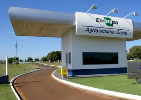 Concurso da Embrapa abre vagas em MS em 35 diferentes áreas com salários de até R$ 12,8 mil
