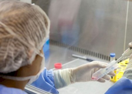 Coleta de células de medula óssea cresce 8% no Brasil