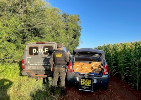 DOF apreende mais de 1,3 tonelada de drogas em Dourados