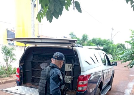 Homem com histórico de fuga é preso pela PM de Itaporã pelo crime de tráfico de drogas