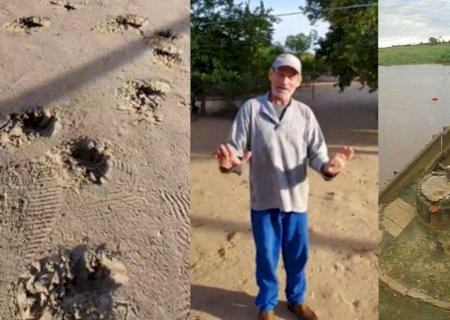 Laudo confirma morte de ‘Jorginho’ por ataque de onça; cabeça e pescoço foram as regiões atingidas