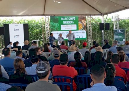 Parceria entre Embrapa, Agraer e Prefeitura realiza Dia de Campo em Itaporã