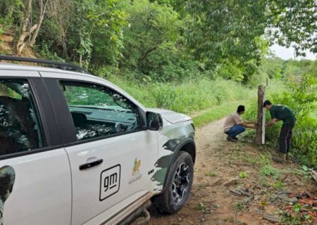 IHP denuncia furto de equipamento que monitora onça-pintada no Pantanal