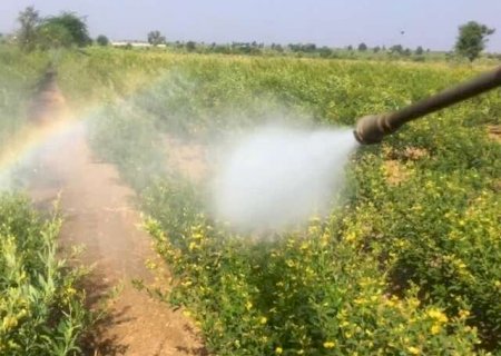 Empresa de Itaporã é investigada por falhas no controle de agrotóxicos