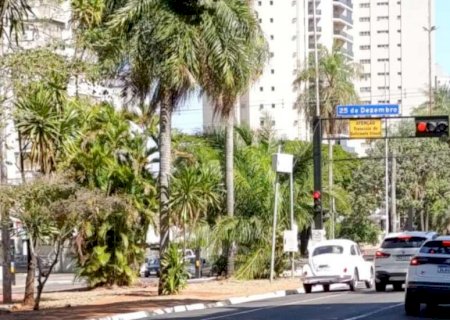 Previsão de 'um sol para cada um' neste sábado em MS