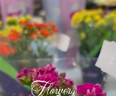 Itaporã - Homenagem com Amor: Flores para o Dia de Finados no Bom Preço Supermercados (Vídeo)