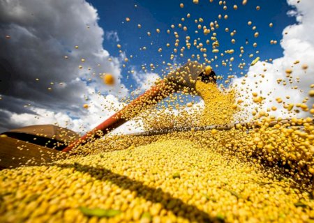 Agroexport: soja em grão atinge melhor cotação do ano e aquece embarques