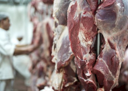 Mercado do boi segue estável enquanto exportações de carne bovina se aproximam de recorde