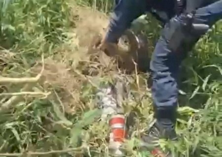 Dourados - Moto furtada é encontrada escondida debaixo de galhos em mata