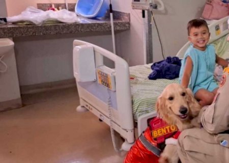 Alegria em quatro patas: pacientes do HU recebem visita especial de Cães Bombeiros
