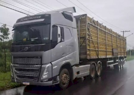 Quadrilha é presa furtando frangos vivos de carreta em posto desativado