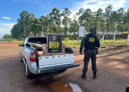 Polícia apreende carga de defensivos agrícolas avaliada em R$ 310 mil na fronteira