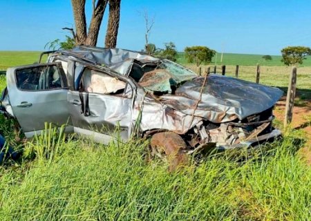 Pneu estoura, caminhonete capota e irmãos ficam feridos na BR-060