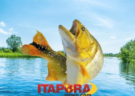 Pesca será liberada a partir de 1º de março: atenção às regras e documentação