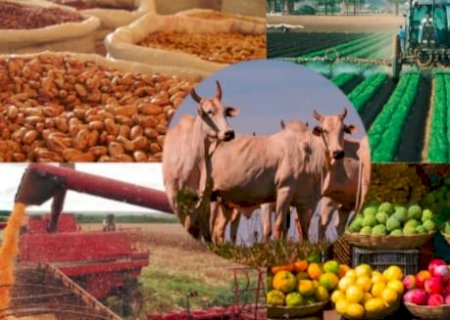 O agro que move a nossa região, do campo à cidade