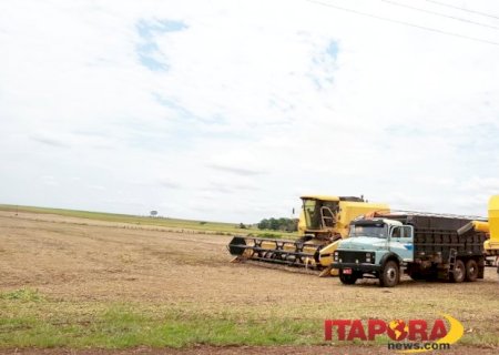 MS acelera na soja e projeta uma das melhores safras da história