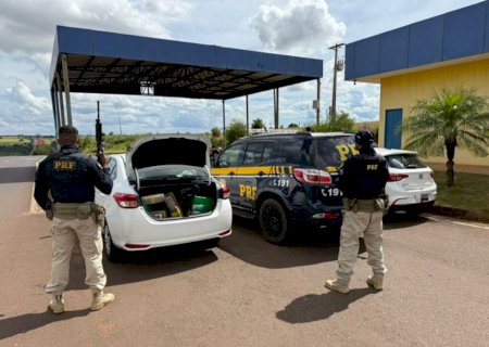 Motorista tenta fugir, mas PRF intercepta 280 kg de droga e prende comparsa