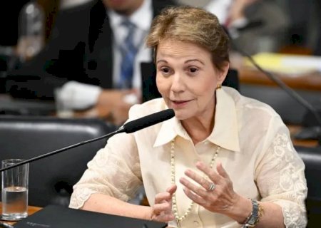 Tereza avisa o PL que não quer ser vice de Flávio Bolsonaro