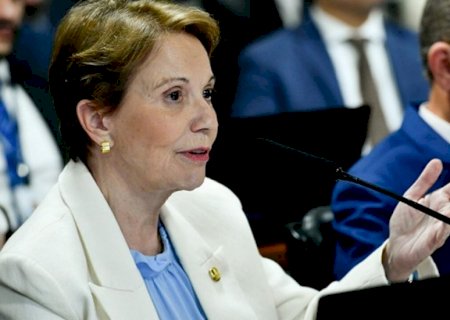 Tereza reúne autoridades para debater mineração de terras indígenas