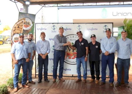 Cadeia do amendoim avança e atrai novos investimentos para Mato Grosso do Sul