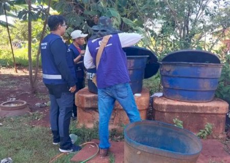 Alems ter&aacute; vota&ccedil;&atilde;o r&aacute;pida para reconhecer calamidade por chikungunya em Dourados