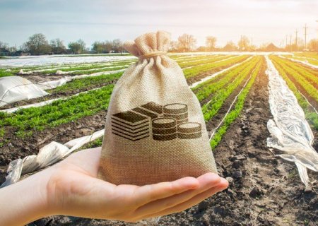 O novo índice que pode mudar o crédito rural