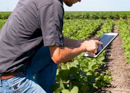 Agro: Disputa tecnológica redefine prioridades globais