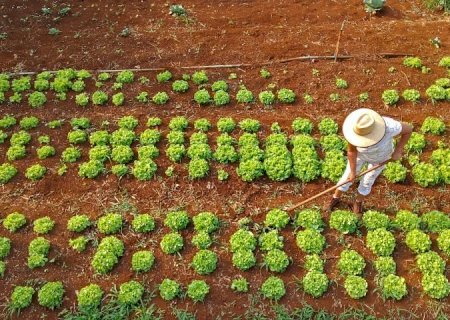 Agraer fortalece acesso ao crédito rural em projetos que abrem oportunidades a quem trabalha no campo